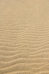 夏の鳥取砂丘とその紋様 鳥取県 鳥取砂丘