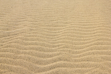 夏の鳥取砂丘とその紋様 鳥取県 鳥取砂丘