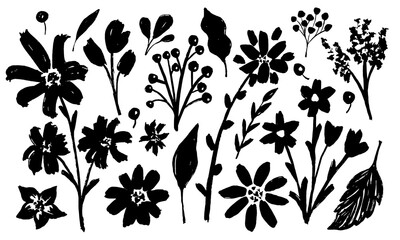 Set of drawn with grunge brush plants. Collection of flowers, leaves, berries, floral stems. Primitive wild plants. Black and white botanical elements. Simple style plants
