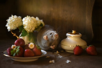 Little cute rat with strawberry and white flowers