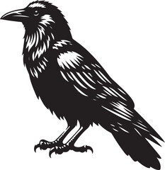 Mysterious Raven Silhouette: A Dark, Majestic Figure Soaring Through the Twilight Sky, Symbolizing Wisdom, Freedom, and Transformation in Its Bold, Shadowed Form