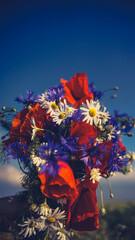 poppy chamomile cornflower fields