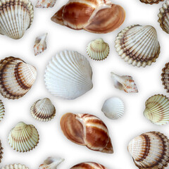 Seashells on a white table seamless tiled background