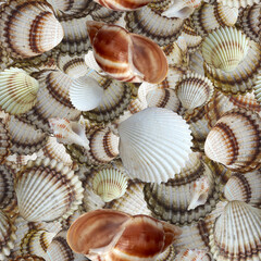 A pile of seashells seamless tiled background