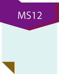 MS12 File format minimal icon