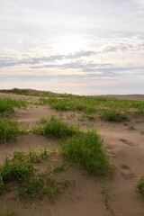 夏の鳥取砂丘の風景 鳥取県 鳥取砂丘