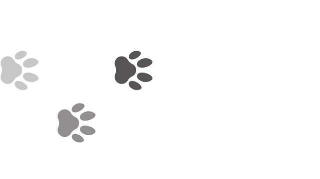 cat dog paw footprint walking