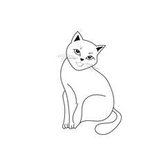 cat outline illustration on white background