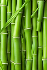 Obraz premium Detailed view of lush green bamboo stalks revealing intricate textures and natural allure