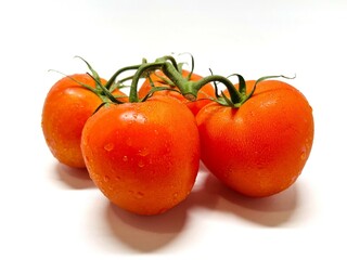 Bunch of fresh, red tomatoes with green stems isolated on white background. Clipping path.