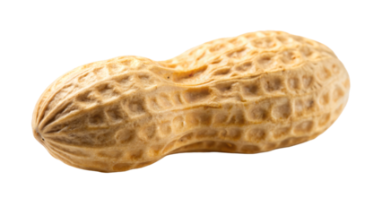Close-up of peanut on a white background