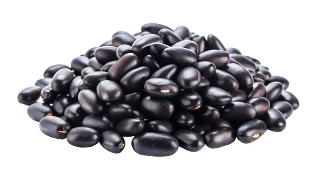 A close-up photo of a black beans isolated on a white background