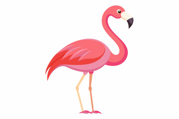 Pink flamingo on a white background