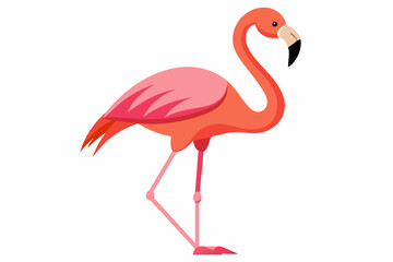 Pink flamingo on a white background