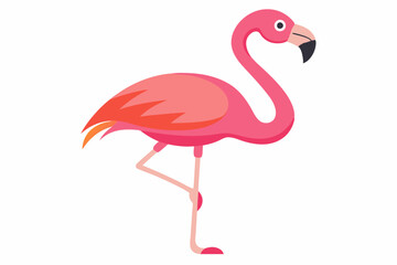 Pink flamingo on a white background
