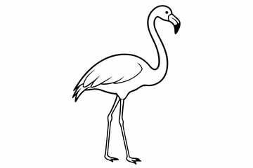 flamingo line art vector, tropical bird flamingo line drawing	