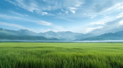 Fototapeta premium A vast, open field with a clear blue sky and mountains in the background