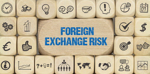 Foreign Exchange Risk