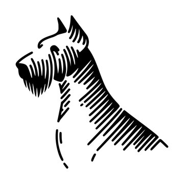 A black and white Fox terrier silhouette created using minimalistic dashed lines.  Minimalist art style.