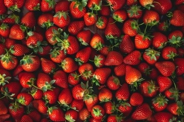 fresh Mara des Bois Strawberry background