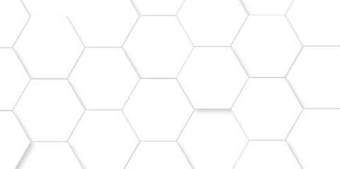 White Hexagonal Background. Luxury White Pattern. Vector Illustration. 3D Futuristic abstract honeycomb mosaic white background. geometric mesh cell texture. modern futuristic wallpaper.