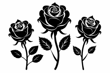 rose flowers silhouettes Vector set, set of decorative rose with leaves	
