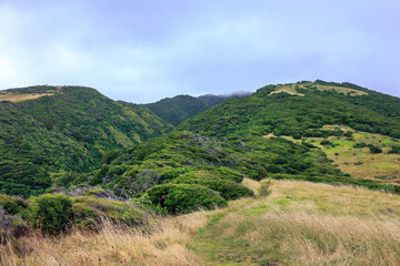 Breathtaking view over Te Toto Gorge Lookout and Mt Kariori on an overcast summer day. High vantage...