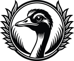 ostrich vector