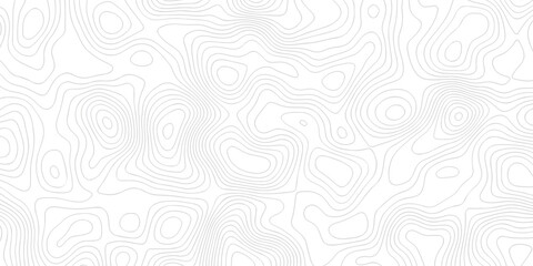 White wave paper curved reliefs abstract background Topographic map patterns. Background of the topography map. Abstract pattern with lines. Contour abstract map relief land outline.