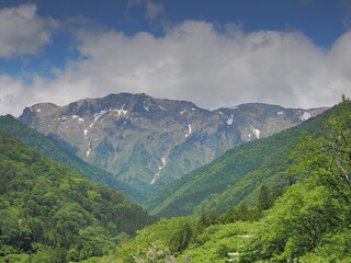 恋沢ガーデンから見た初夏の谷川岳