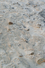 Hirthals Strand 