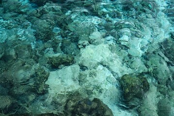 The rocky reef from above the clear water surface on a sunny day in Ellaidhoo island, Maldives