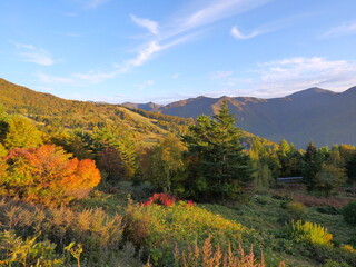 長野県　高山村　山田牧場付近の紅葉