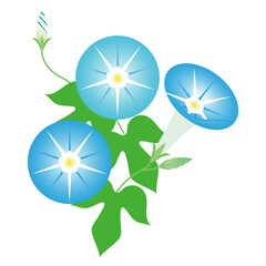 朝顔のイラスト