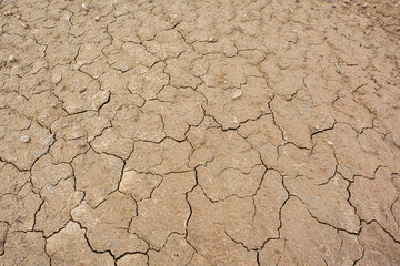 Sandy and dry texture of the earth. Drought concept