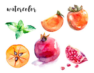 Watercolor of persimmon, pomegranate, and mint, perfect for botanical and culinary themes