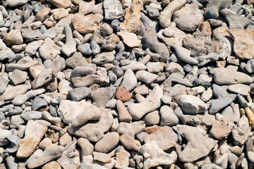 Texture di pietre di mare