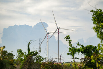 Wind power fields providing clean energy in central Vietnam, where there is a long coastline with abundant wind