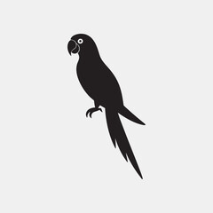 Obraz premium Parrot vector silhouette illustration