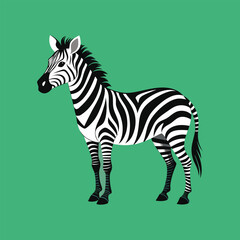 Zebra vector silhouette illustration