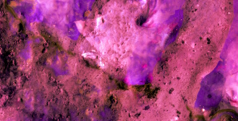 Captivating Translucence: Unleashing the Charm of Liquid Art in Oil Paint
