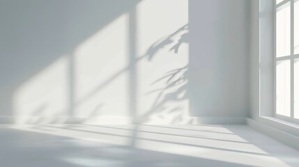 Minimalist natural light windows with shadow overlay on textured wall, creating abstract background