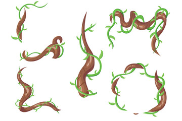 Vector plant creeper cartoon set. Green vine. Tree foliage. Rainforest liana. Cartoon plants. Creeper branch. Jungle liana creeping vines with leaves formed in rectangle and circle frames