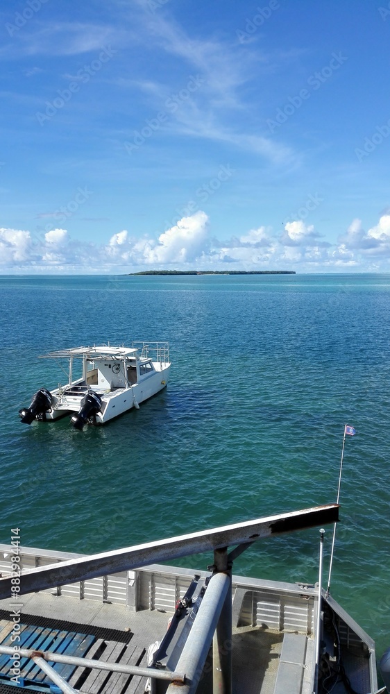 Wall mural yacht in the sea