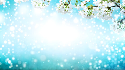 Magical scene with cherry flowers of white color and magic sparks. Beautiful nature spring background. Photo toned in light blue color. Copy space for text
