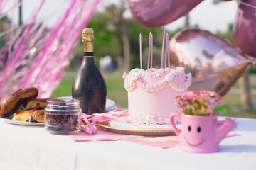 birthday picnic in park in pink color