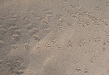 Traces of sand patterns on the beach