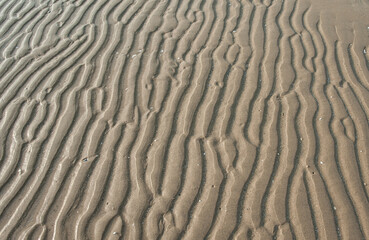 Traces of sand patterns on the beach