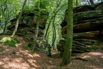 Landscape close to Treves, Eifel, Germany