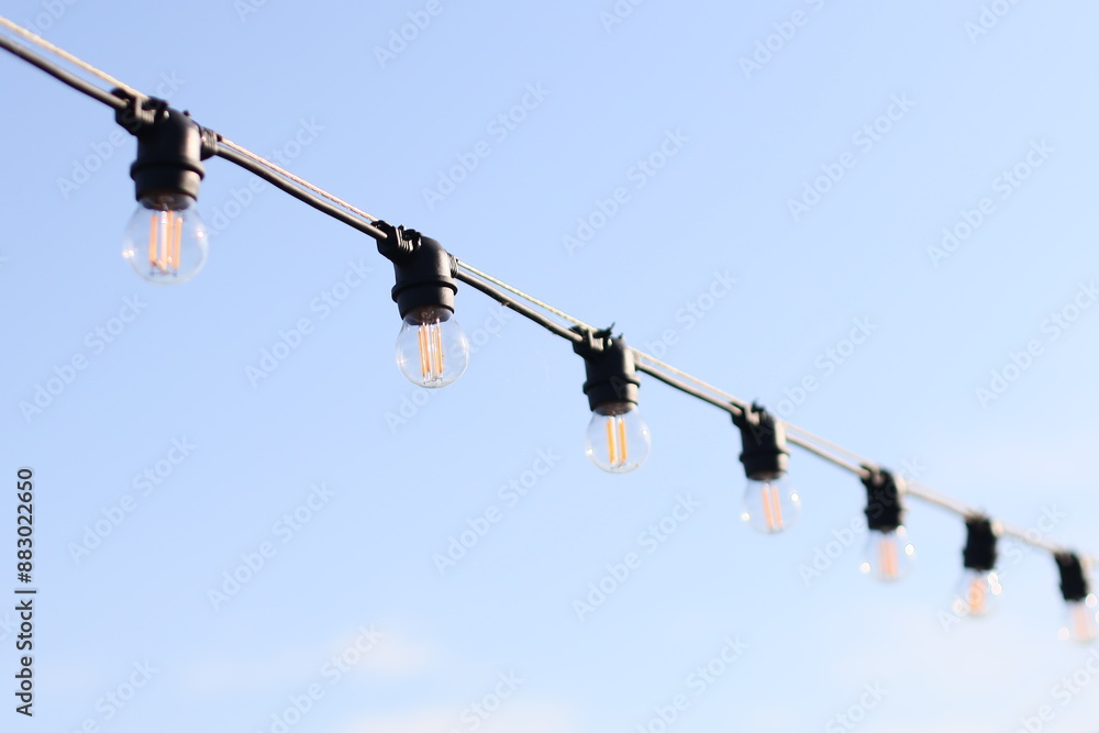 Poster a collection of light bulbs suspended from a thin wire, with varying lengths and shapes.